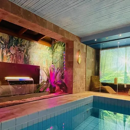 Art-hotel Am Park מלון באדנוויילר