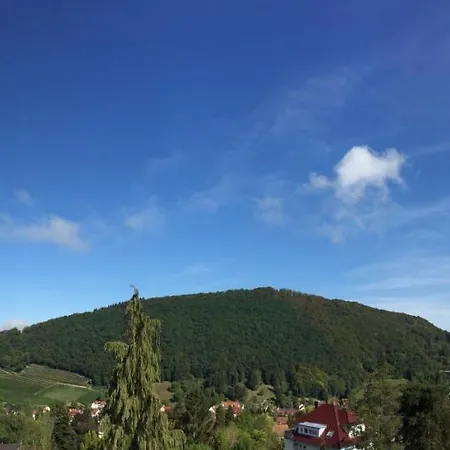 מלון Art-hotel Am Park