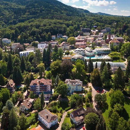 Art-hotel Am Park מלון